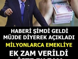 Kademeli Emeklilik ve Seyyanen Zam