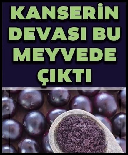 Kanserli Hücrelere Saldırıp Yok Ediyor galerisi resim 1