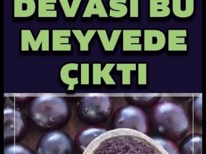 Kanserli Hücrelere Saldırıp Yok Ediyor