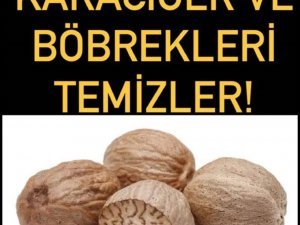 Karaciğer ve Böbrekleri Temizler