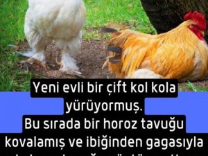 Kol kola yürüyormuş..