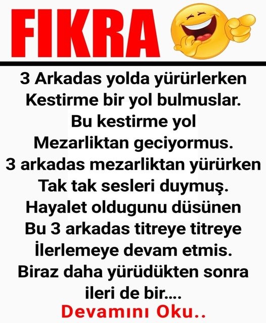 3 Arkadas yolda yürürlerken Kestirme bir yol bulmuslar. galerisi resim 1