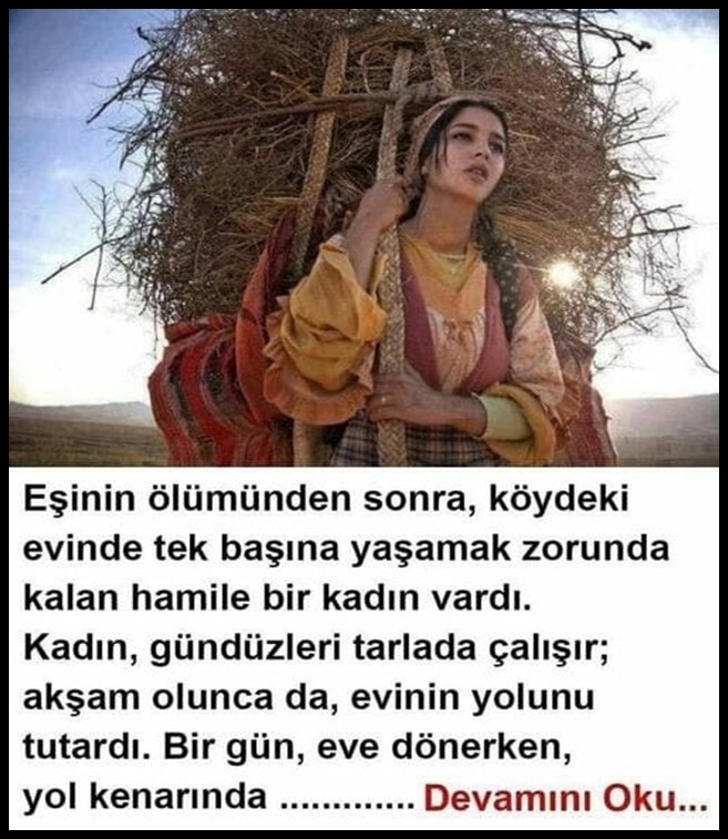 Bir gün, eve dönerken, yol kenarında galerisi resim 1