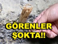 MANTAR İÇİN GİTMİŞLERDİ, ŞOK GERÇEKLE KARŞILAŞTILAR